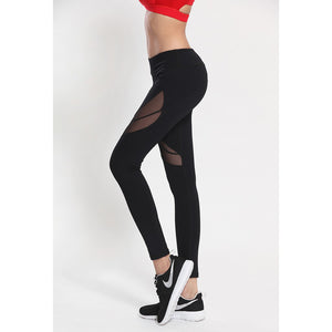 Quần tập gym nữ , Quần legging nữ thể thao VN02 (đồ tập quần áo gym, thể dục,thể hình, yoga)